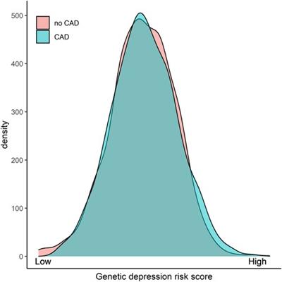 High genetic risk for depression as an independent risk factor for mortality in patients referred for coronary angiography